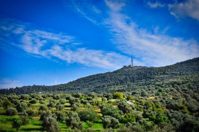 Projet de forêts en Jordanie