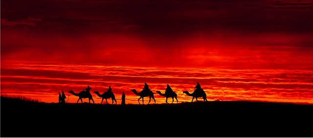 mahmal palanquin lors d'une caravane chamelier