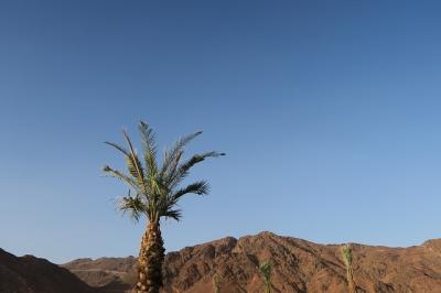 projet al Baydha en Arabie Saoudite